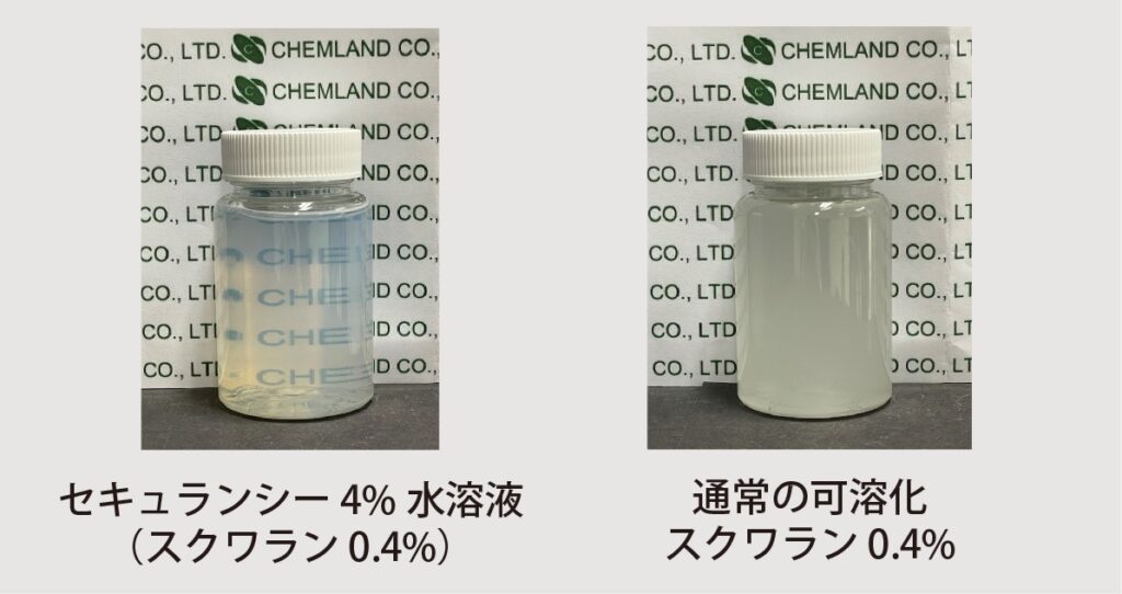 LSセキュランシーSQの透明度の写真