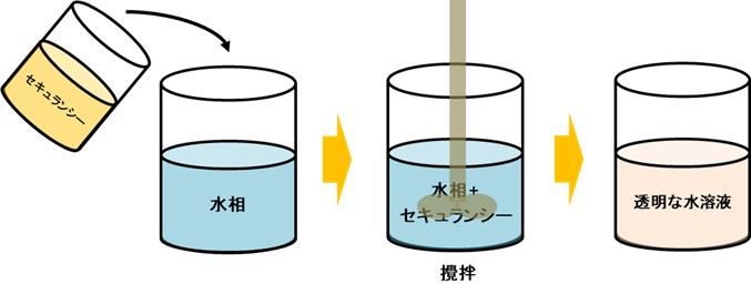 LSセキュランシー使用方法の模式図