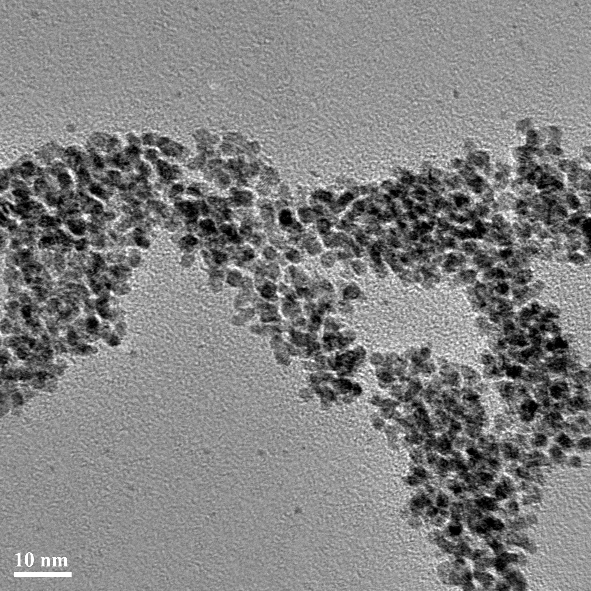 コロイド性銀（純銀の抗菌剤）の顕微鏡写真